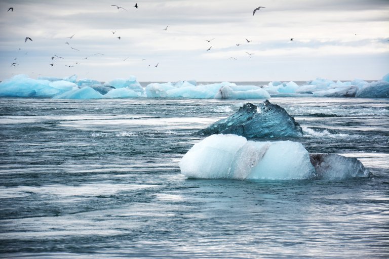 We Can Stop Climate Change Ourselves. This is How.