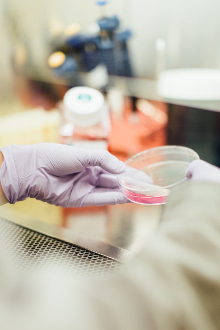 A Cancer Drug May Be Key in Defeating HIV
