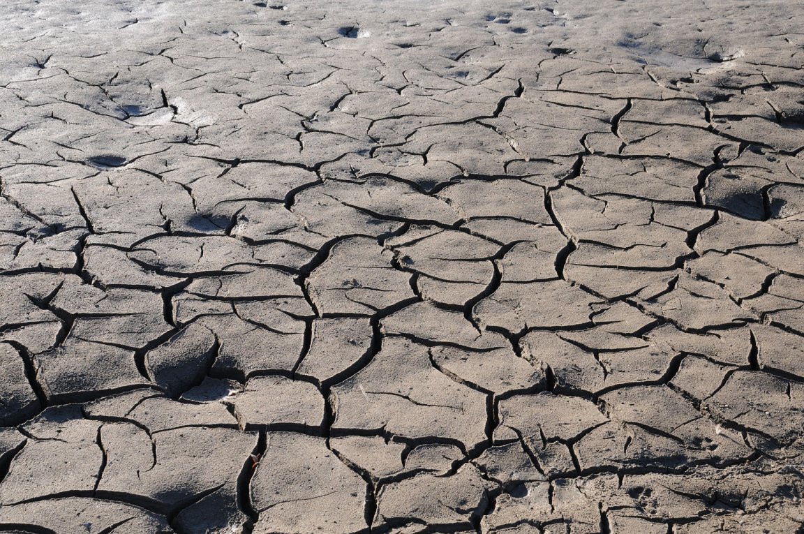 climate change denial usda censorship