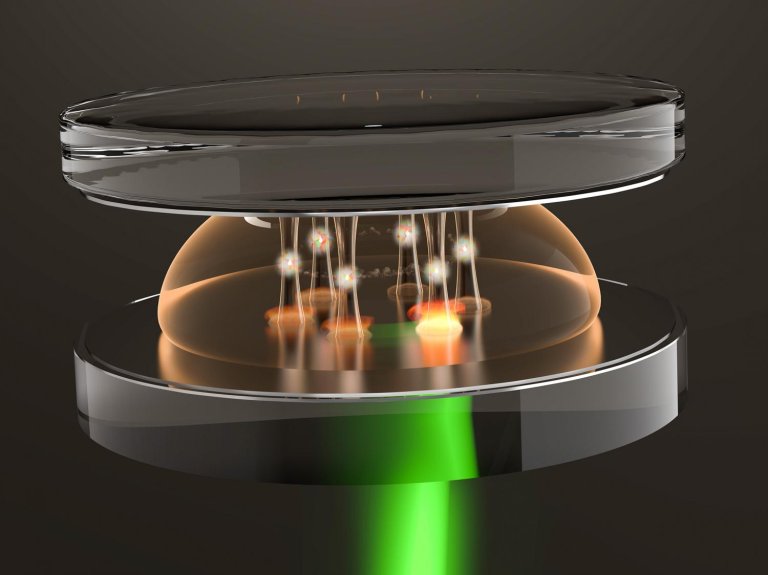 Physicists Have Made Exotic Quantum States From Light