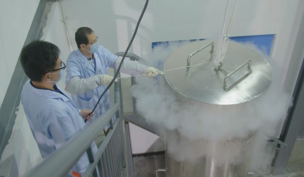 cryonics cryogenically frozen death cryo
