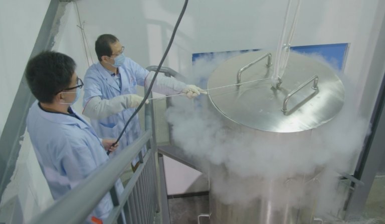cryonics cryogenically frozen death cryo