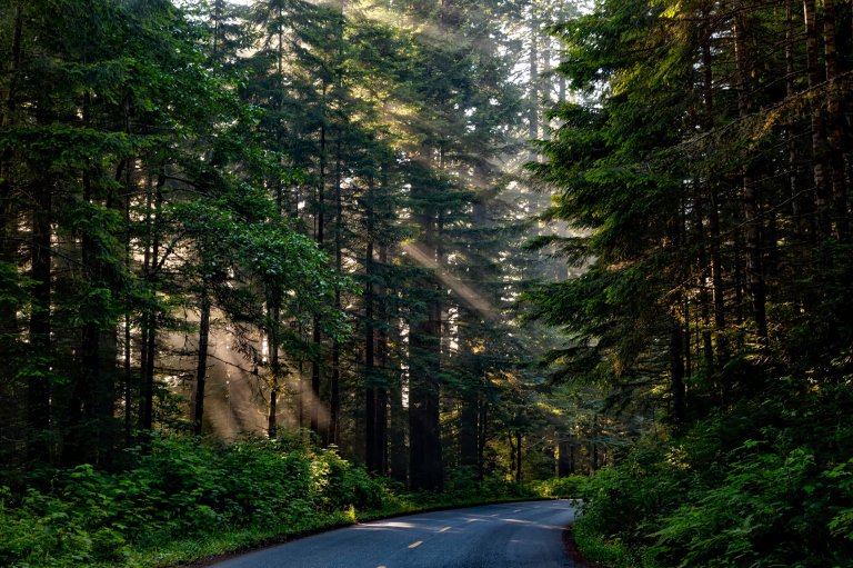 California Aims to Use 100% Renewable Energy by 2045