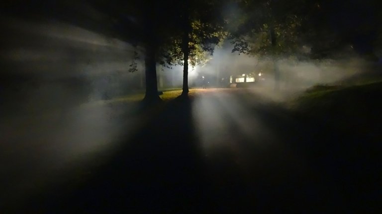 Researchers Have Devised a Method to Erase Memories Associated With Fear
