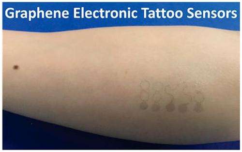 Image Credit: Shideh Kabiri Ameri et al.