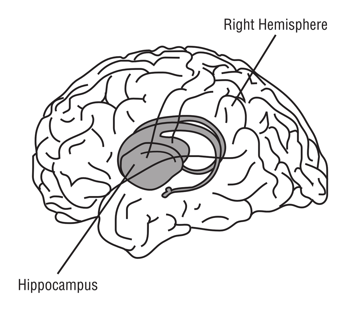 Image Credit: OpenClipart-Vectors/Pixabay