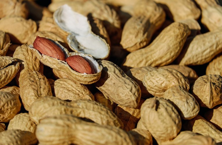 Australian Researchers May Have Created a Cure for the Peanut Allergy