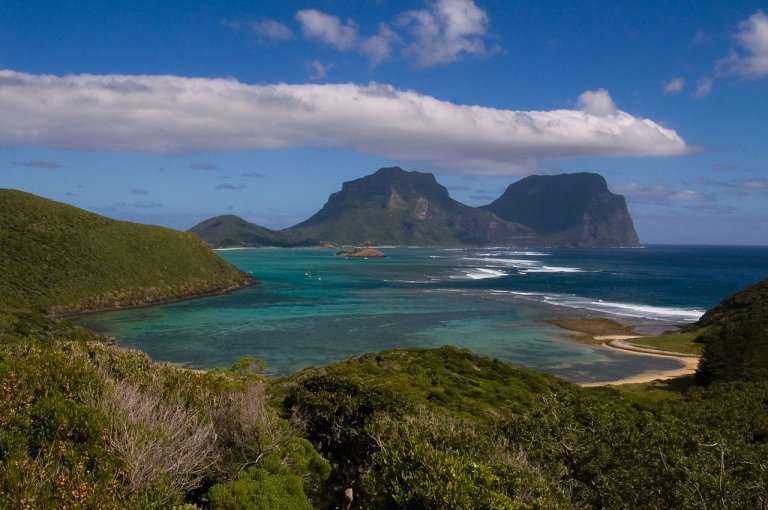 zealandia fossils climate change south pacific