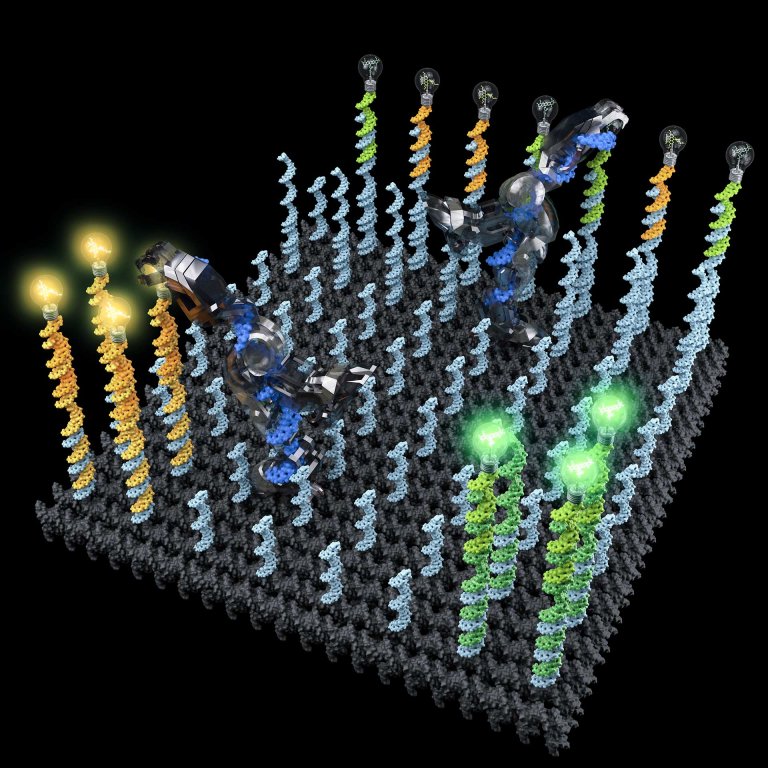 Nanobots Made of DNA Can Now Carry and Sort Molecular Cargo