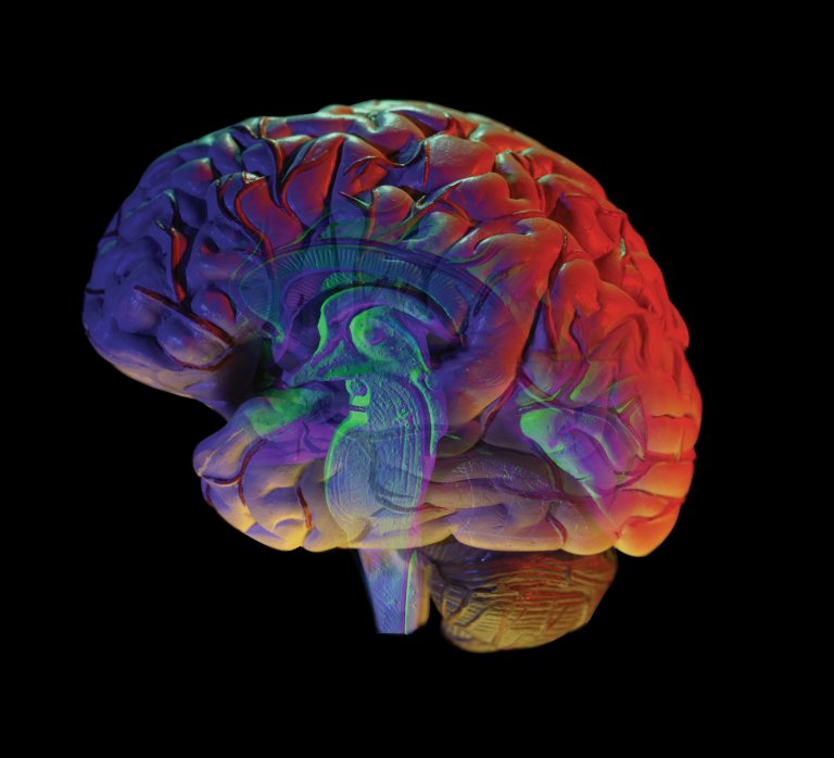 New Research Shows how the Brain Processes our Experiences