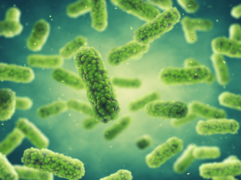 Drug-Delivering Micromotors Treat Their First Bacterial Infection in the Stomach