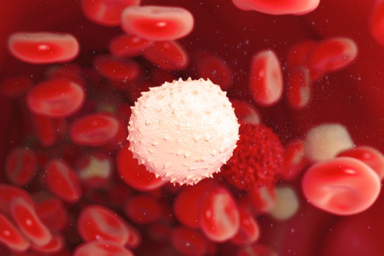 Breakthrough Cancer Treatment Trials Put on Hold Following Death of a Patient