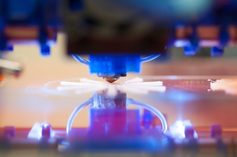 3d printing 3d printed organs health organ transplant