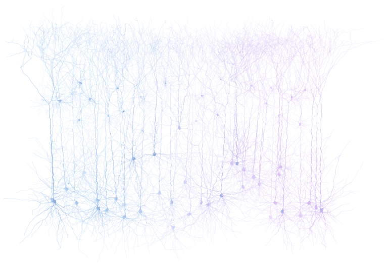 brain-computer interface artificial intelligence collaboration
