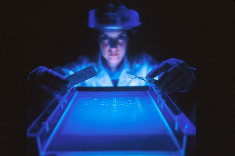 New Genetic Data Study Suggests that Humans are Still Evolving