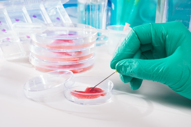 lab-grown meat cultured meat china israel