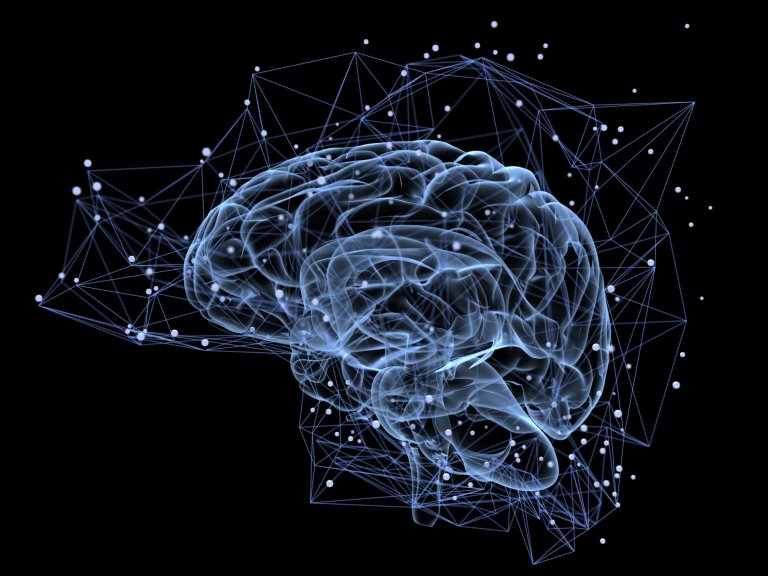 Study Reveals How the Brain Creates “Maps” to Help Us Navigate Familiar Locations