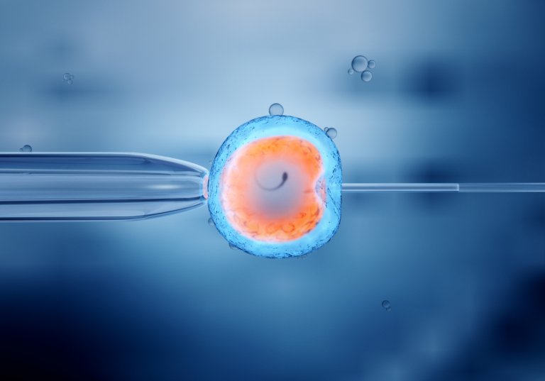Scientists Just Used Gene Editing to Remove a Fatal Blood Disorder From Human Embryos