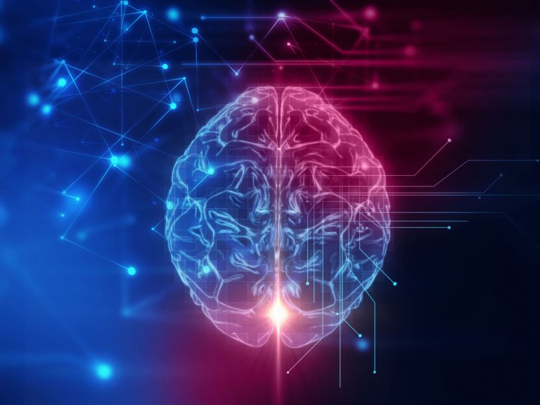 Research Shows Communication Between Both Halves of the Brain Increases With Age