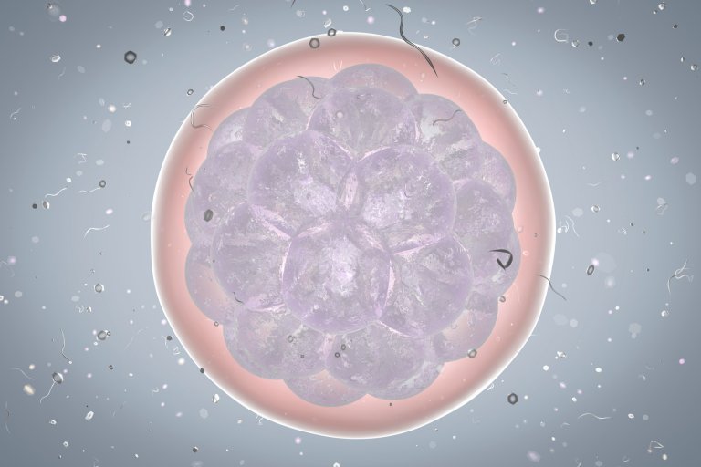 Scientists Edit Embryos with CRISPR to Better Understand Early Human Development