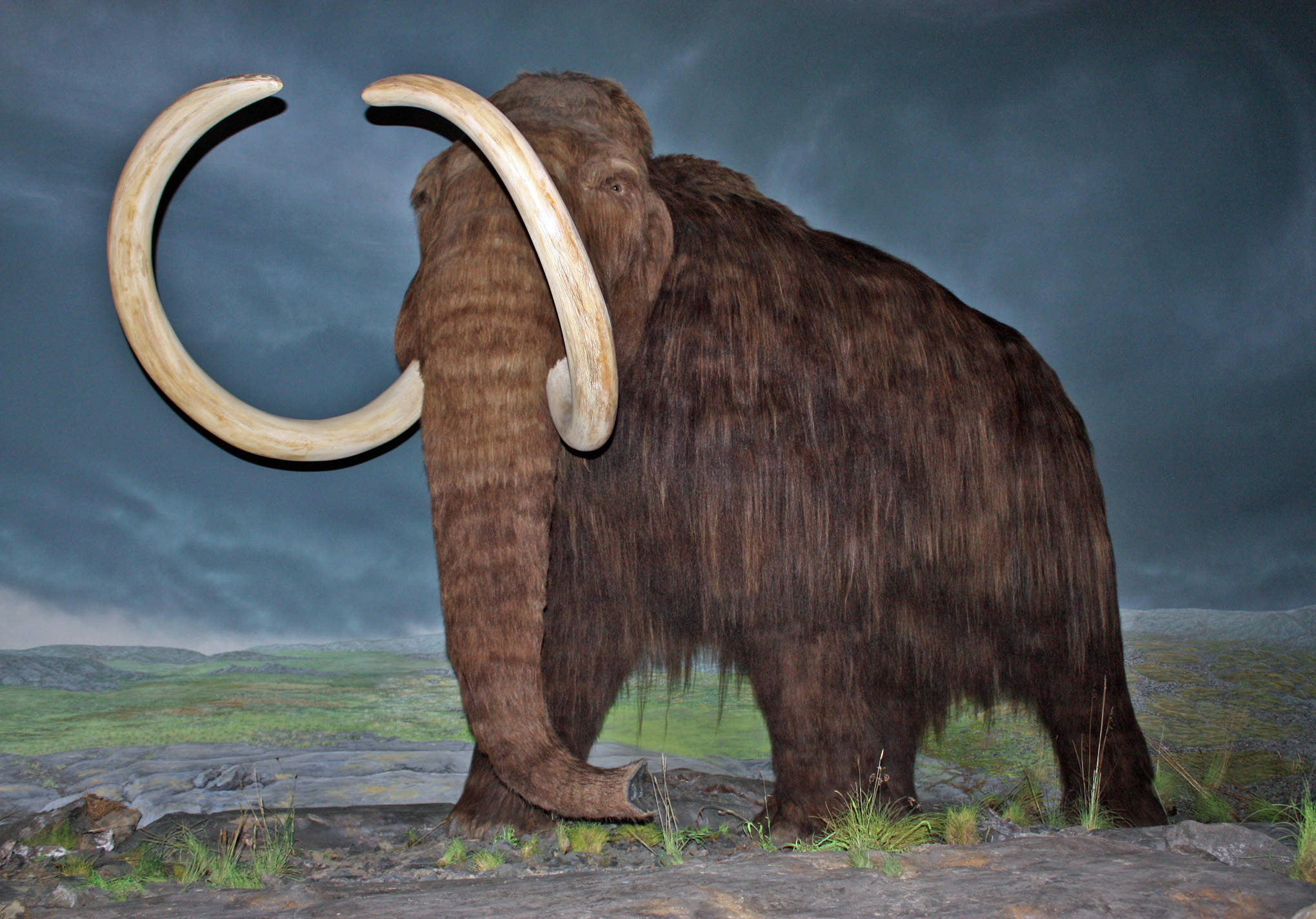 Image Credit: WolfmanSF/Wiki Commons