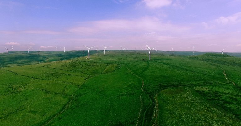 Wind Turbines Around the World Have Prevented More Than 637 Million Tonnes of CO2 Emissions