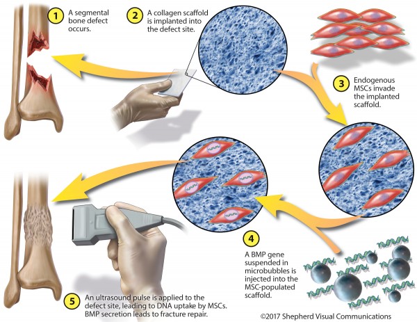 Image Credit: Gazit Group/Cedars-Sinai