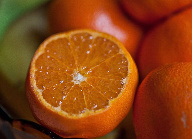 12,000 Tons of Food Waste Saved This Forest — and Could Help Us Save the Planet