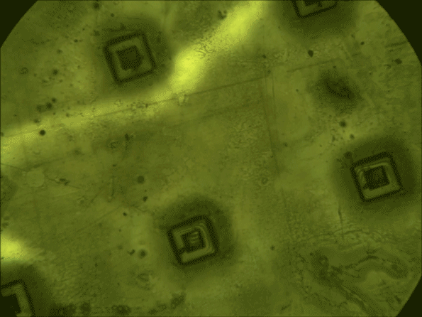 The "cups". Image credit: Langer Lab/MIT