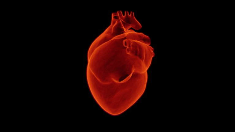 The UK is Pioneering a Heart Transplant Program That Could Cut Waiting Lists in Half