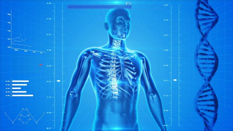 Researchers Develop New Method of Tracking Endoscopes Inside the Body