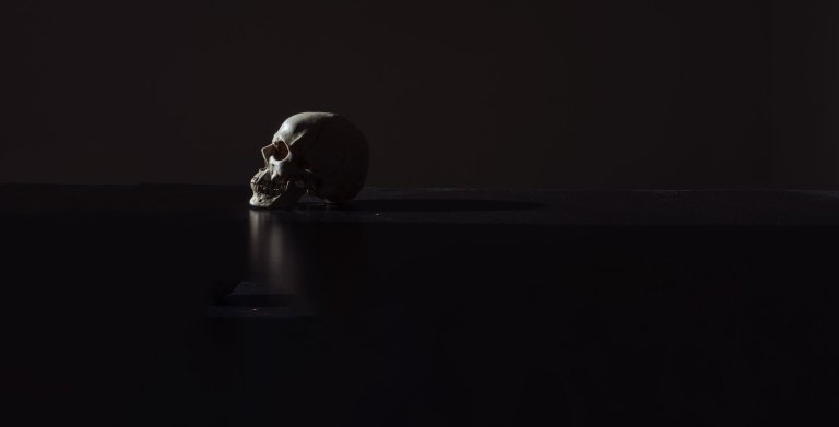 A Dutch Study Claims to Project the Maximum Human Lifespan