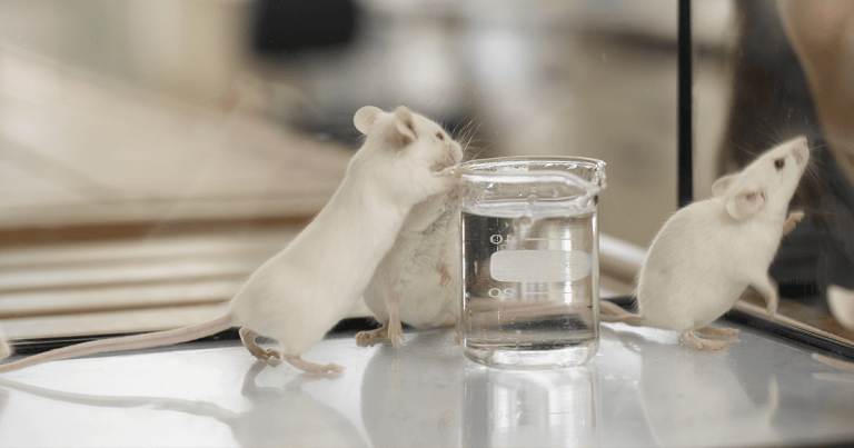 Scientists Can Now Turn off Feelings of Thirst in Mice