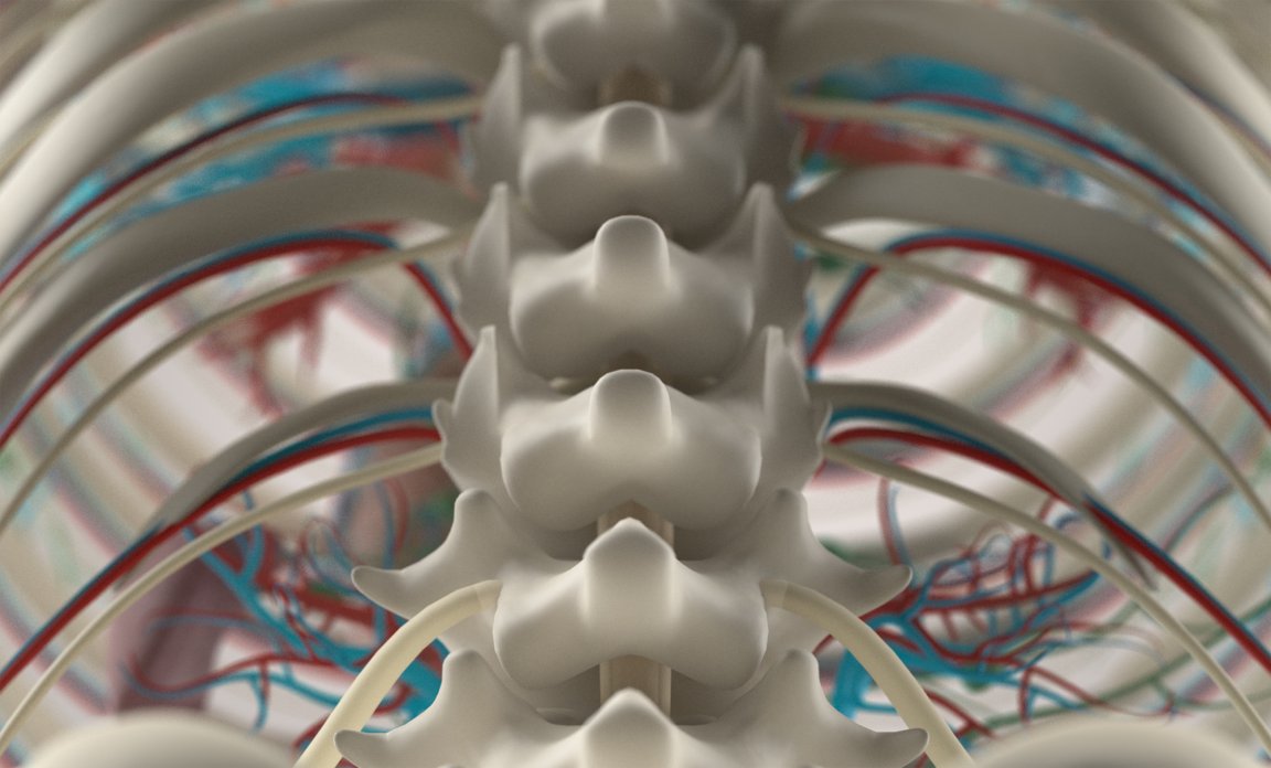 spinal chord injury paralysis cell therapy motor function treatment