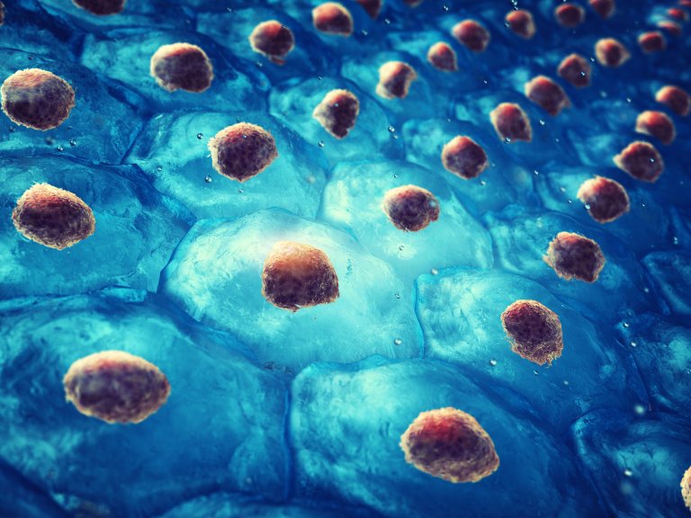 New Stem Cell Line Could Open New Doors in Medical Research and Treatment