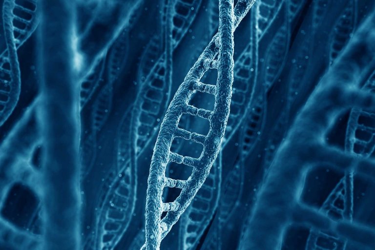There’s a New Theory on How Life Evolves on a Basic Level