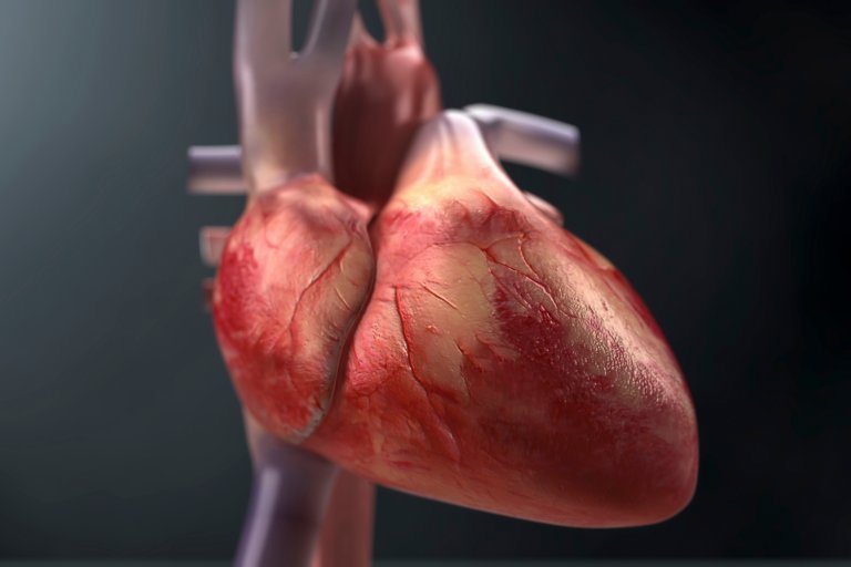Organ donation