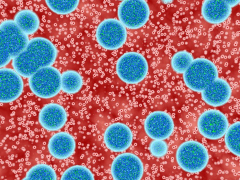 A New Gene Therapy Could Literally End Fatal Brain Disease