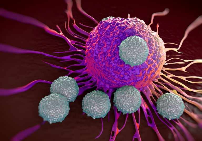 New Study Puts Us One Step Closer to Being Able to Starve Cancer Cells