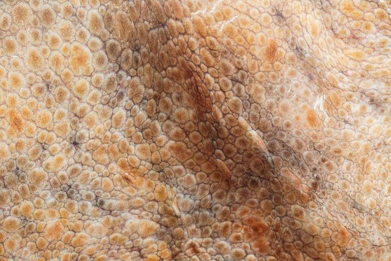 Scientists Have Created Programmable Synthetic Skin
