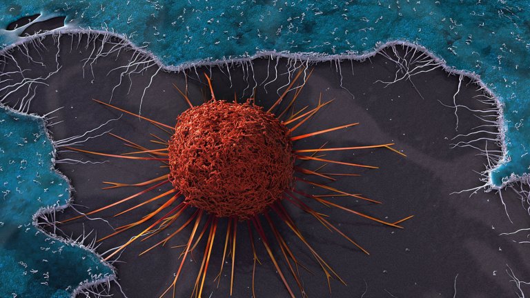 cancer immunotherapy tnf-alpha