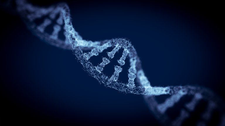 Scientists Have Found the Gene That Governs an Organism’s Waking Life