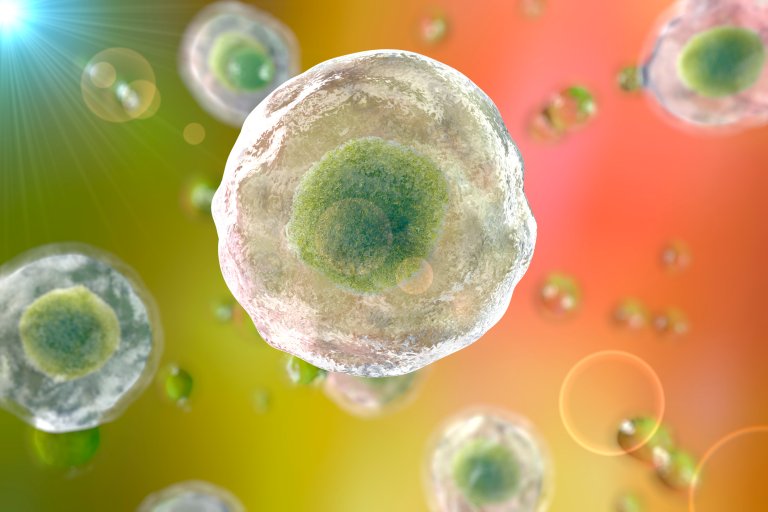 Scientists Have Uncovered a Way to Regenerate Human Bone and Tissue