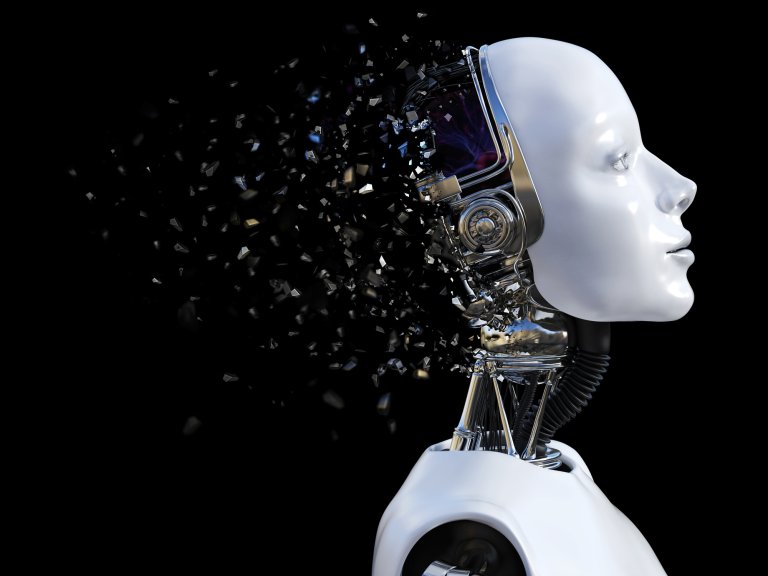 robot rights
