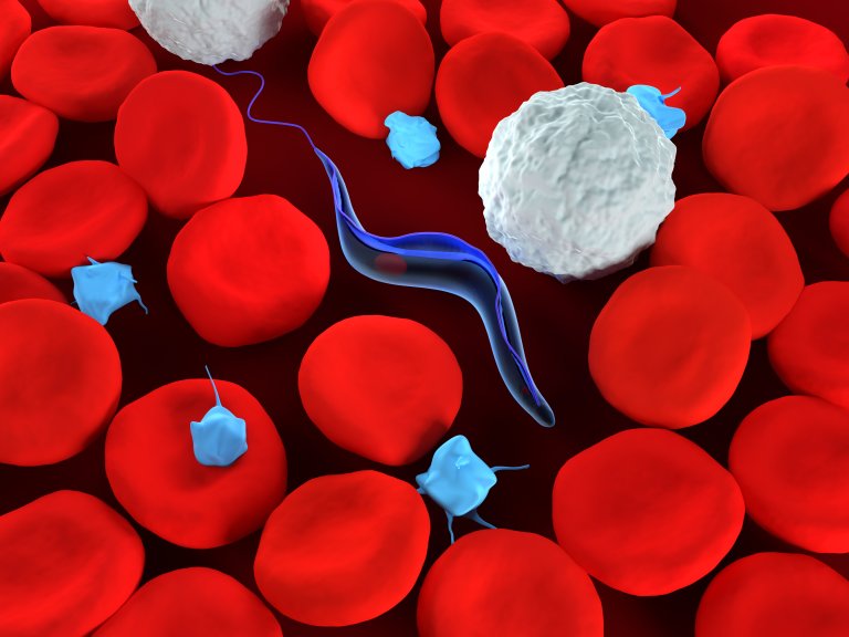 sleeping sickness fexinidazole neurological diseases pills