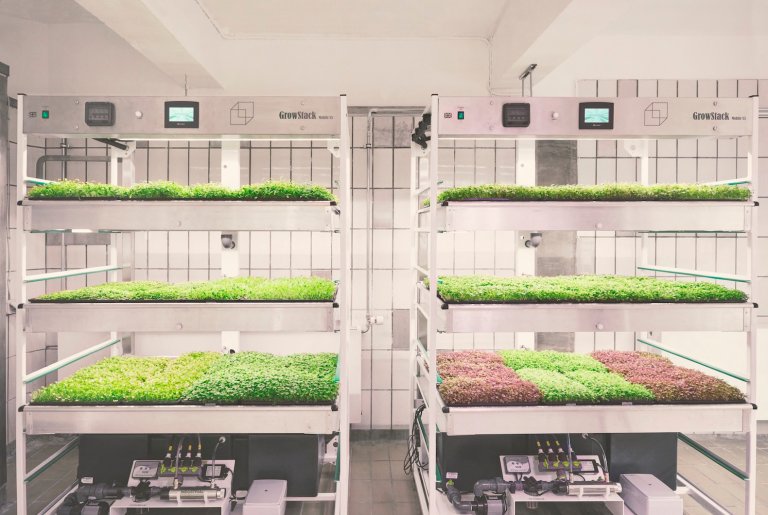 ikea vertical farming hydroponics space10