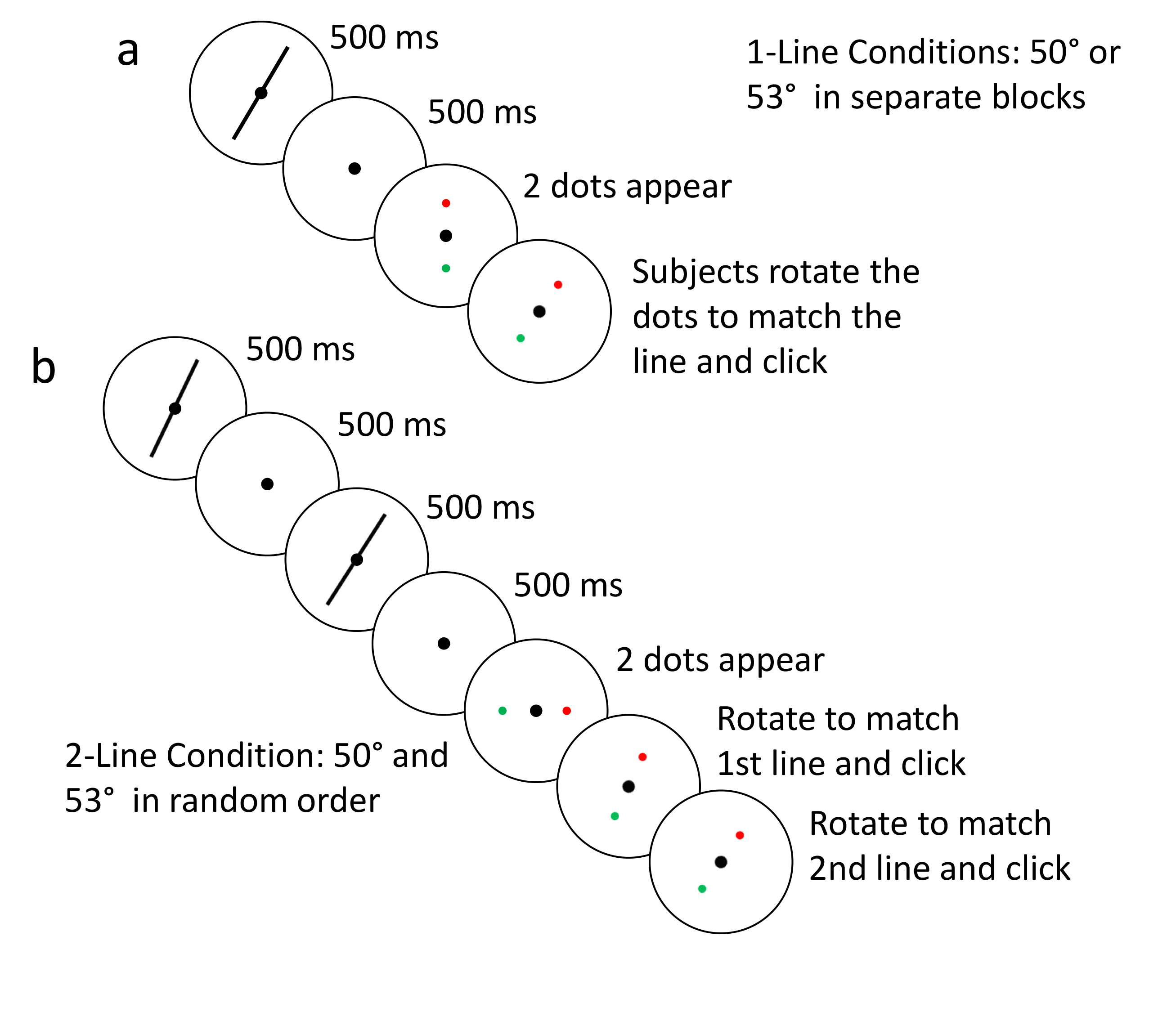 Image Credit: Ning Qian/Columbia University, Zuckerman Institute