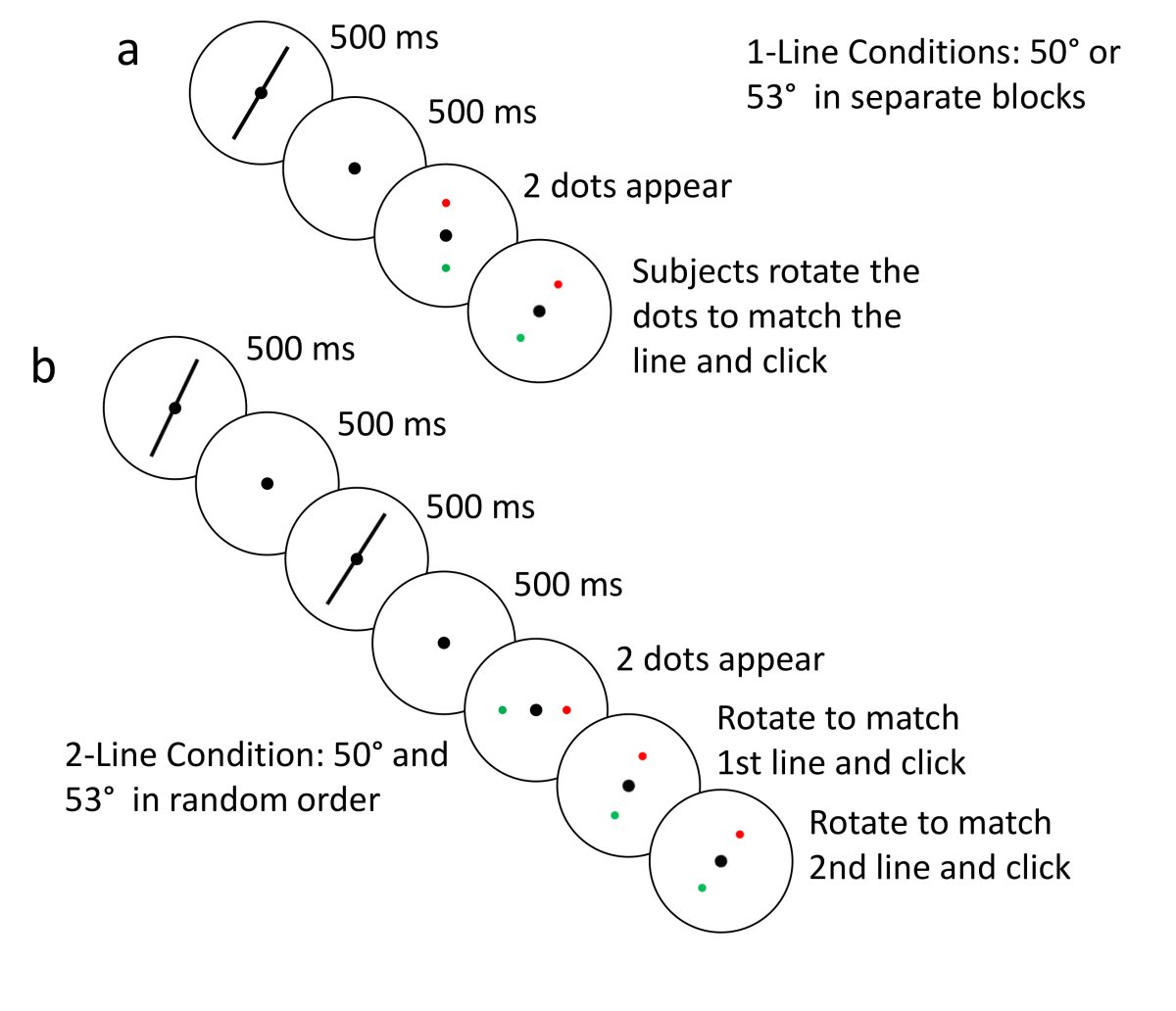 Image Credit: Ning Qian/Columbia University, Zuckerman Institute