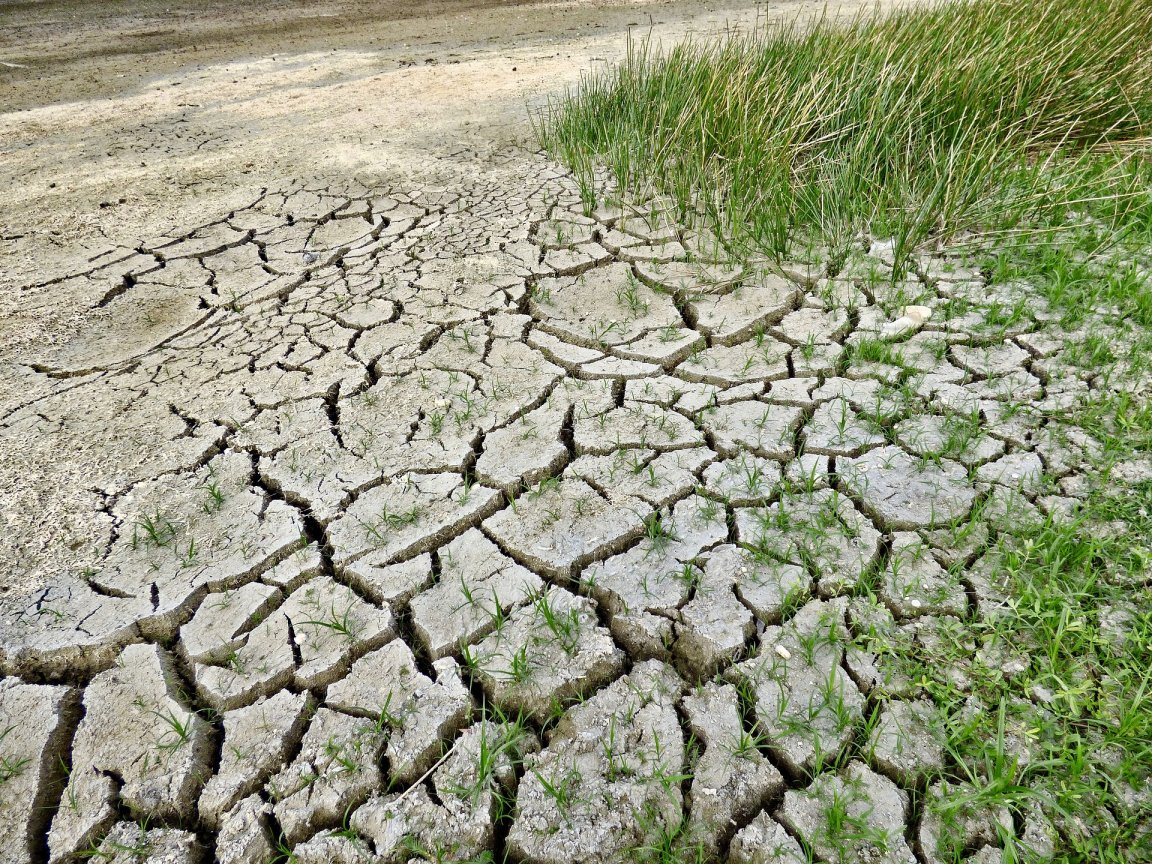 references to climate change