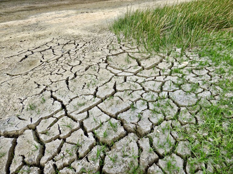references to climate change